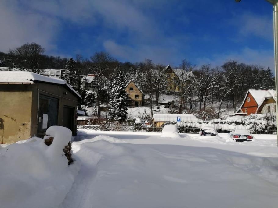 Guenstige, Schoene Ferienwohnung Im Wanderparadies Wernigerode Exteriör bild