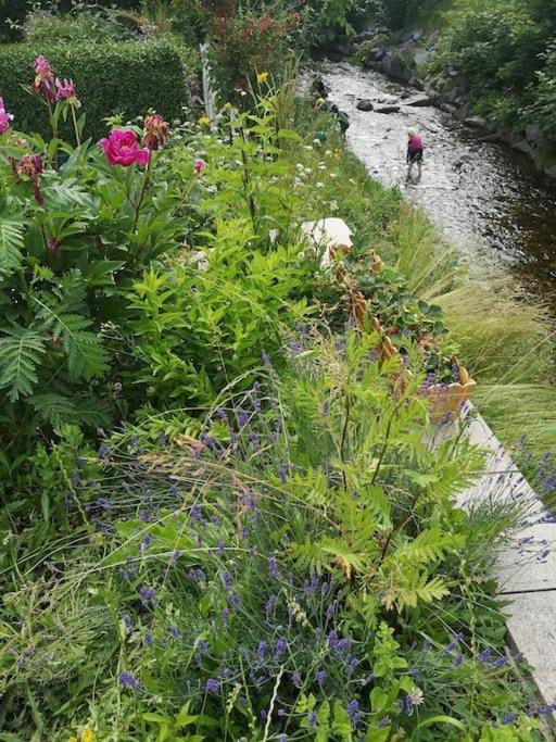 Guenstige, Schoene Ferienwohnung Im Wanderparadies Wernigerode Exteriör bild